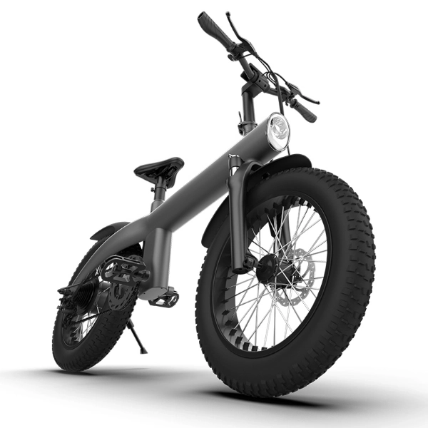 Q3 Off-Road Electric Bicycle